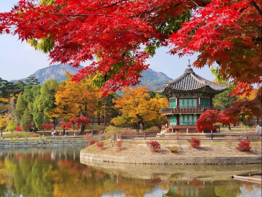단풍시기