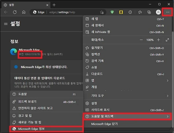 엣지 버전 확인