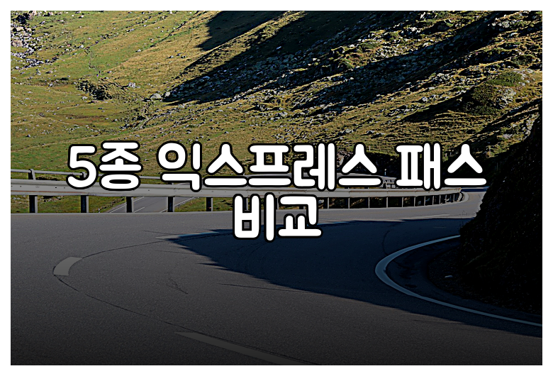 5종 익스프레스 패스 비교