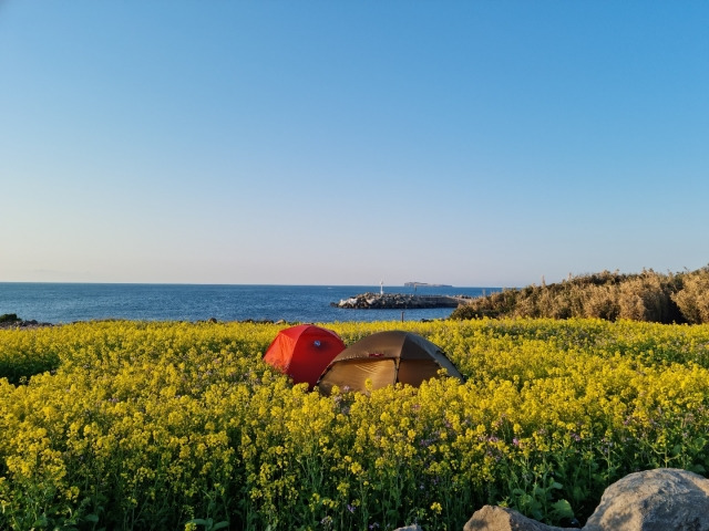 제주 가파도 '태봉왓 캠핑장'