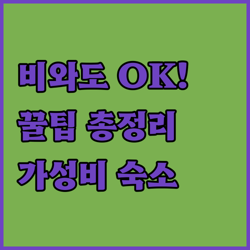 LA 디즈니랜드 우천 시 꿀팁과 실내..