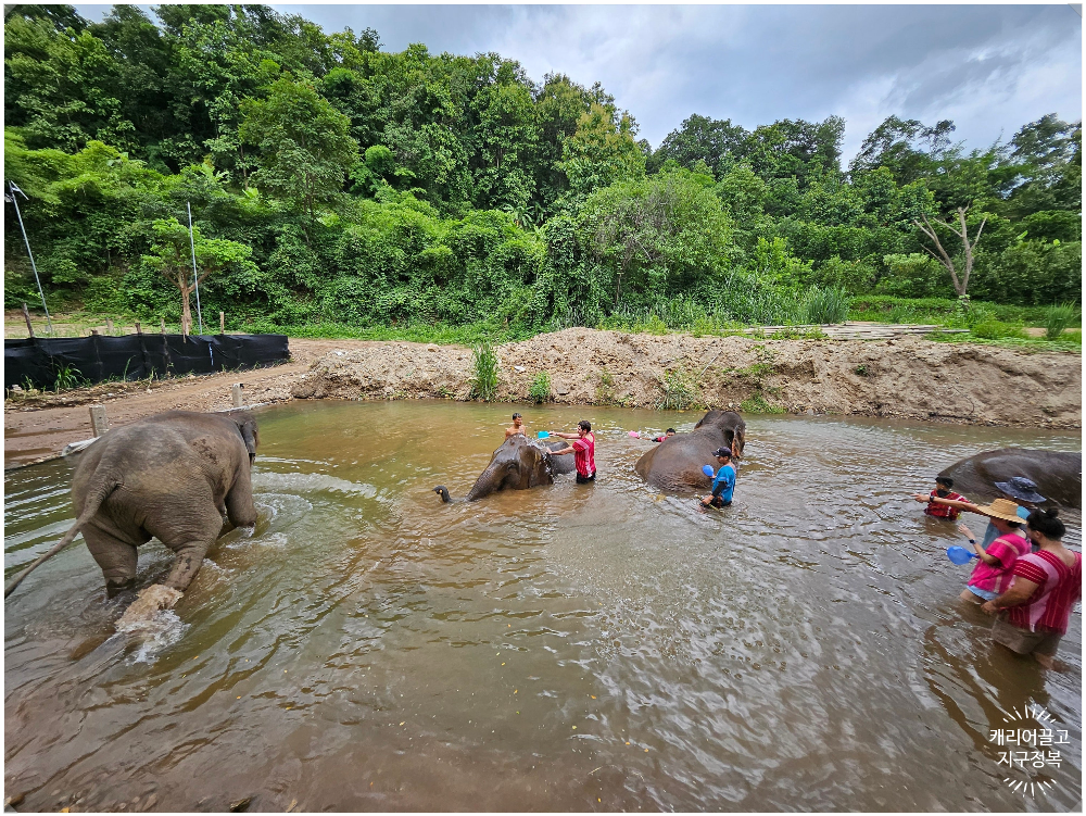 치앙마이 코끼리 보호구역