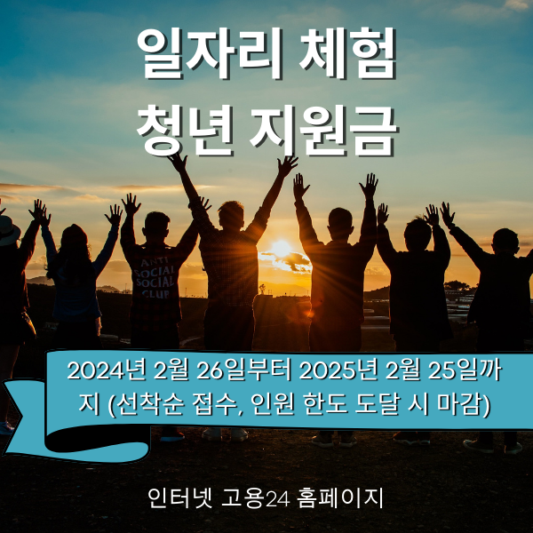 일자리 체험 청년 지원금