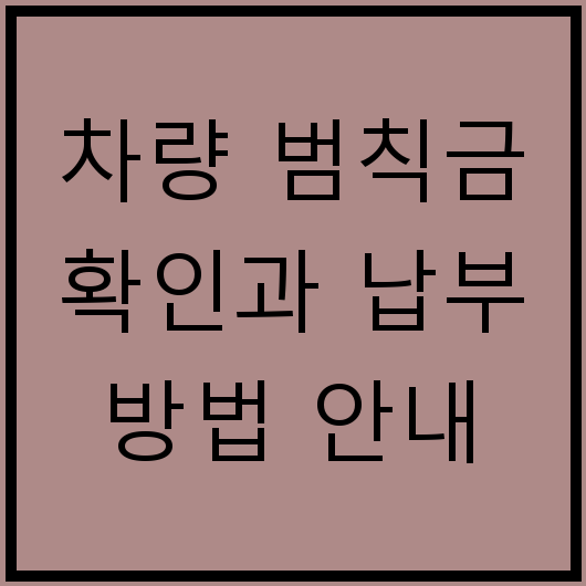 차량 범칙금 확인과 납부 방법 안내