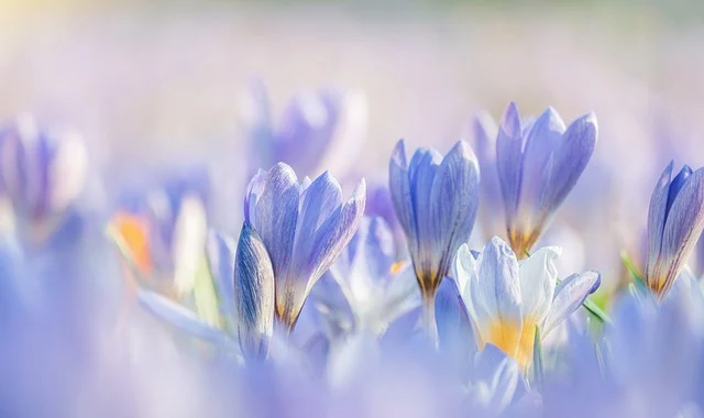 도움이 되고 해가 되는 것을 구분하자.