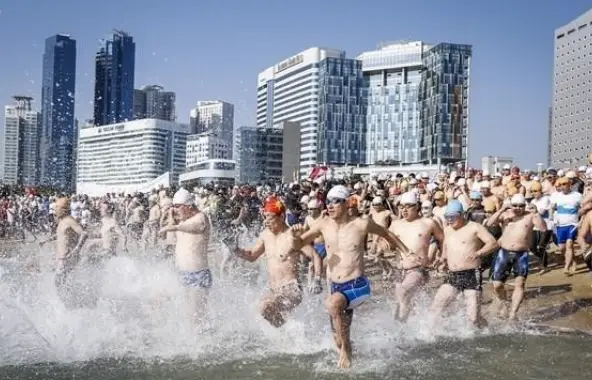해운대 북극곰 수영대회 일정&middot;참가신청