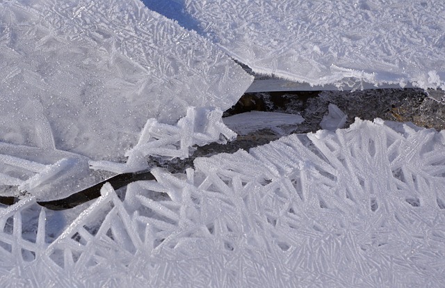 얇은 얼음판이 아름답게 펼쳐진 개울 사진