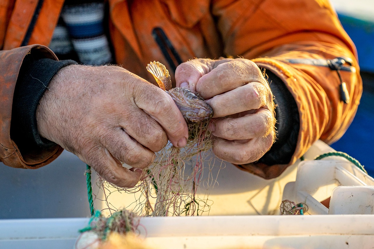 포항 대게 어망 수선 장인의 하루