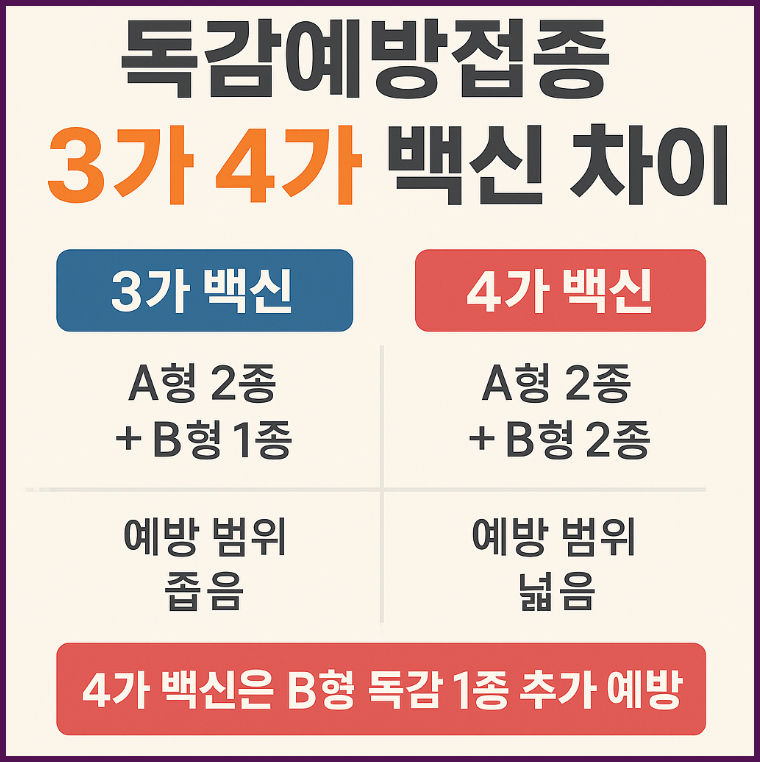 독감예방접종 3가 4가 차이