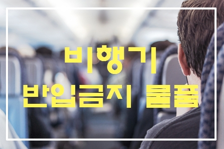 비행기 반입금지 물품