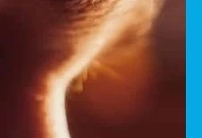 2025년 문화누리카드 신청 시작! 지원금 14만원 받으러 가기