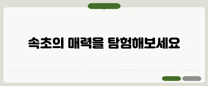 속초여행 당일치기 추천코스 & 주차정보