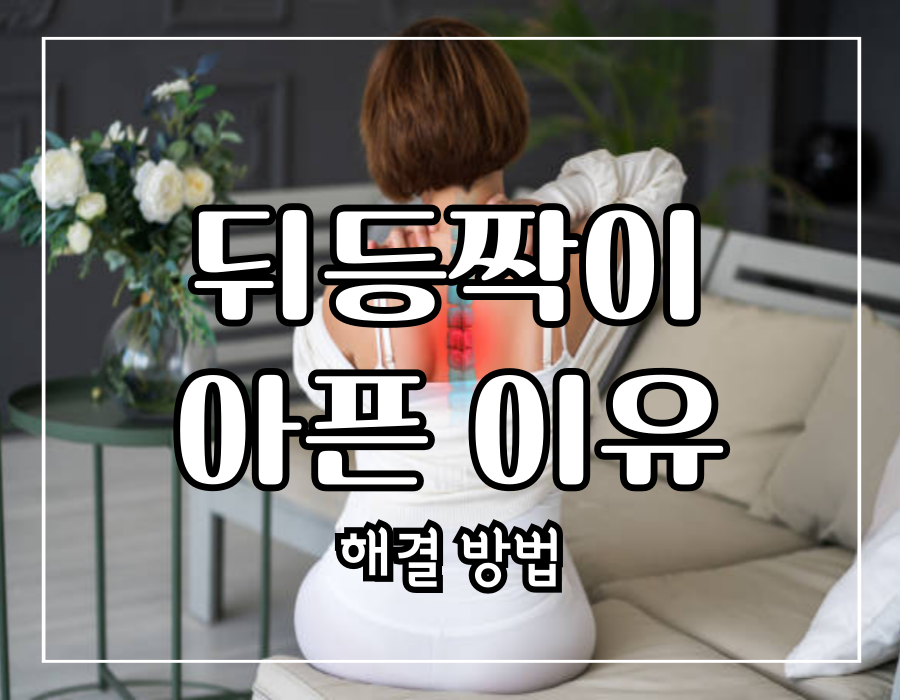 이 이미지를 클릭 하시면 뒤등짝이 아픈 이유 및 해결 방법에 관한 포스팅으로 이동됩니다.