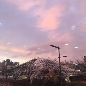 대전 은행동 역전 새벽시장하루가 가장 먼저 시작되는 따뜻한 풍경 기록_16