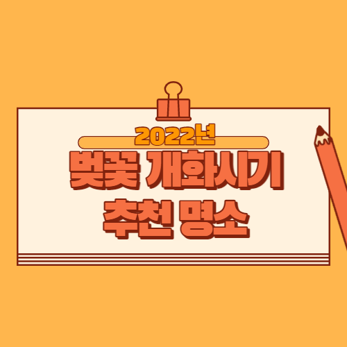 2022년 벚꽃개화시기
