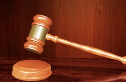 신평 변호사 프로필