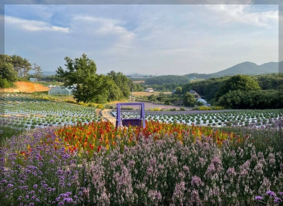 6월 국내 여행지 추천