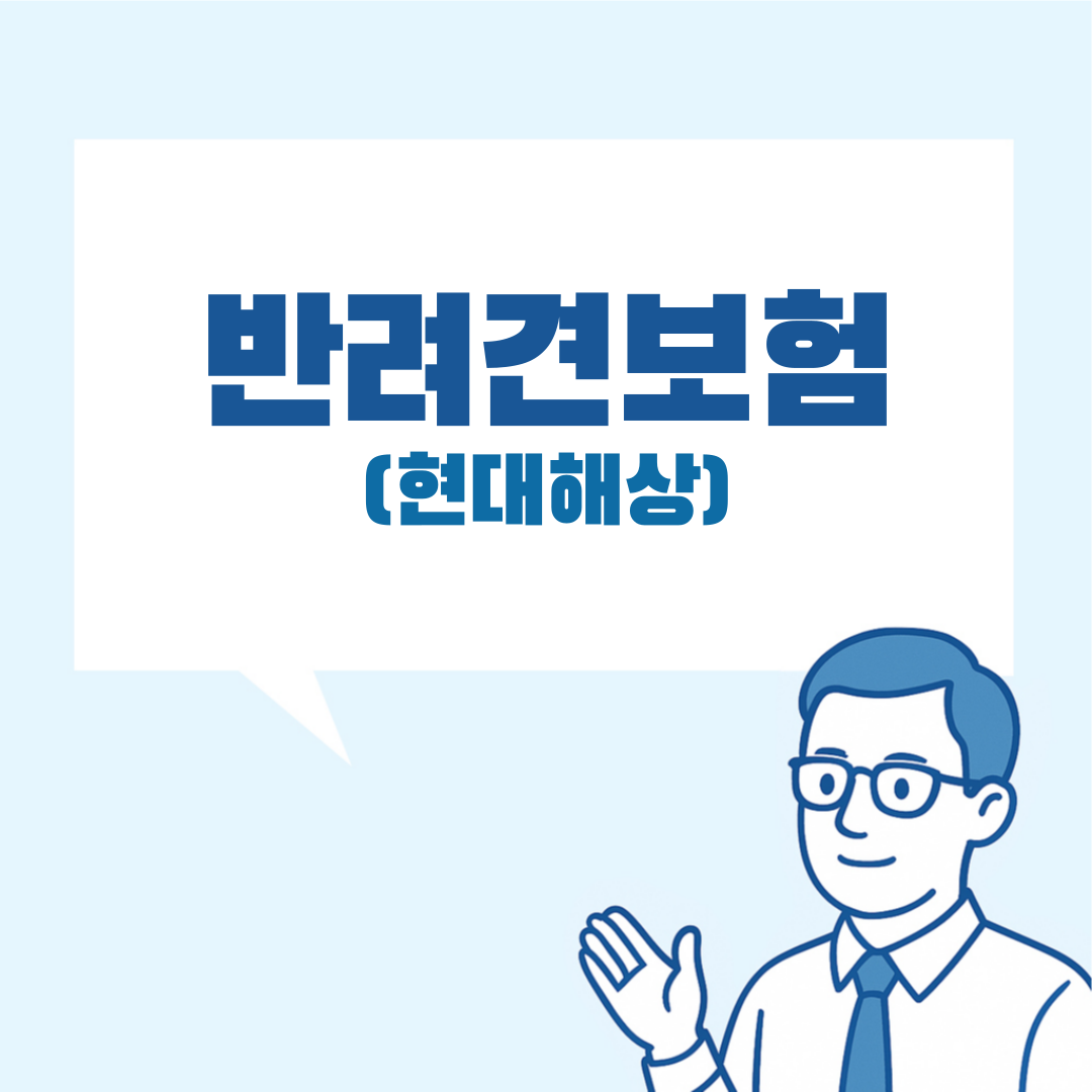 현대해상 펫보험 설명 이미지
