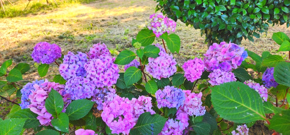 광주 송산근린공원