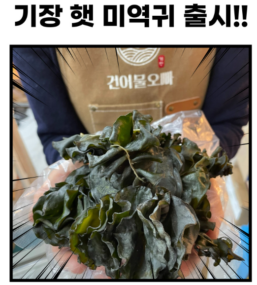 생방송투데이 이주의 장바구니 기장미역 택배 구매 기장건어물오빠 정보