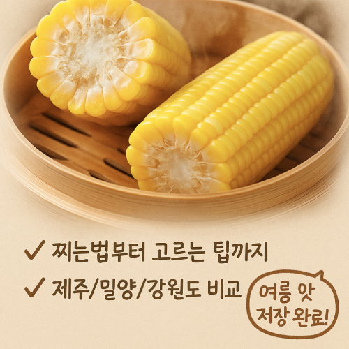 초당옥수수 보관법 이미지