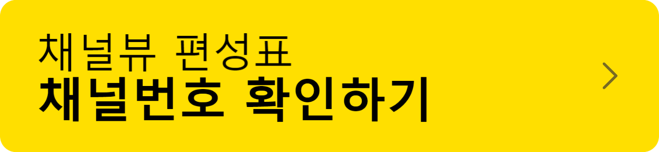 채널뷰 편성표 채널번호/프로그램 확인 + 무료 보기 방법 총정리