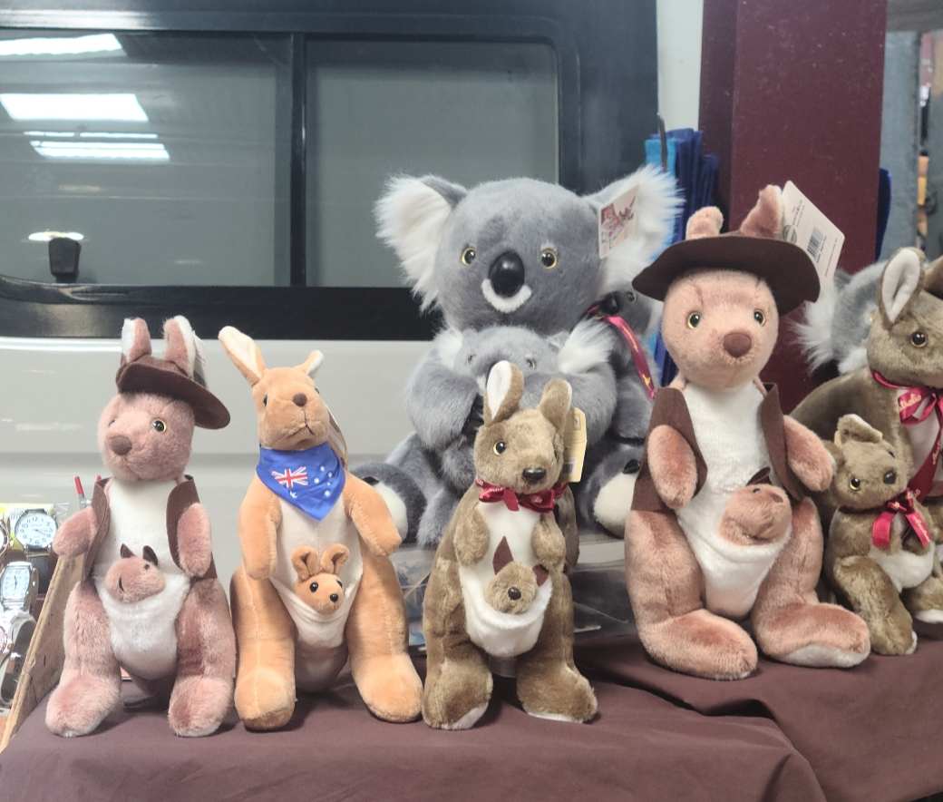 호주 코알라 캥거루 인형 모습