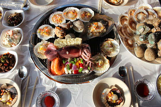 매일아침 꽃무지개물회