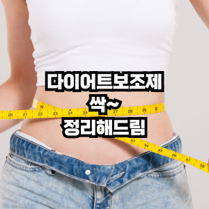 다이어트 보조제 정리