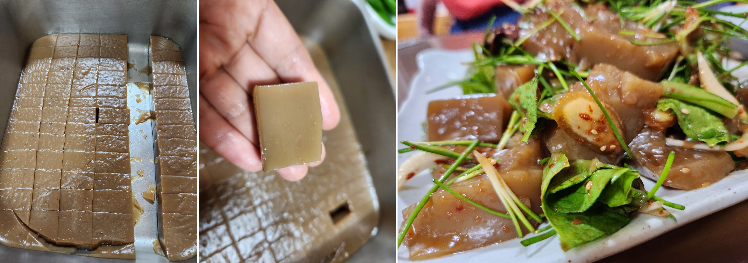 도토리묵 야채무침