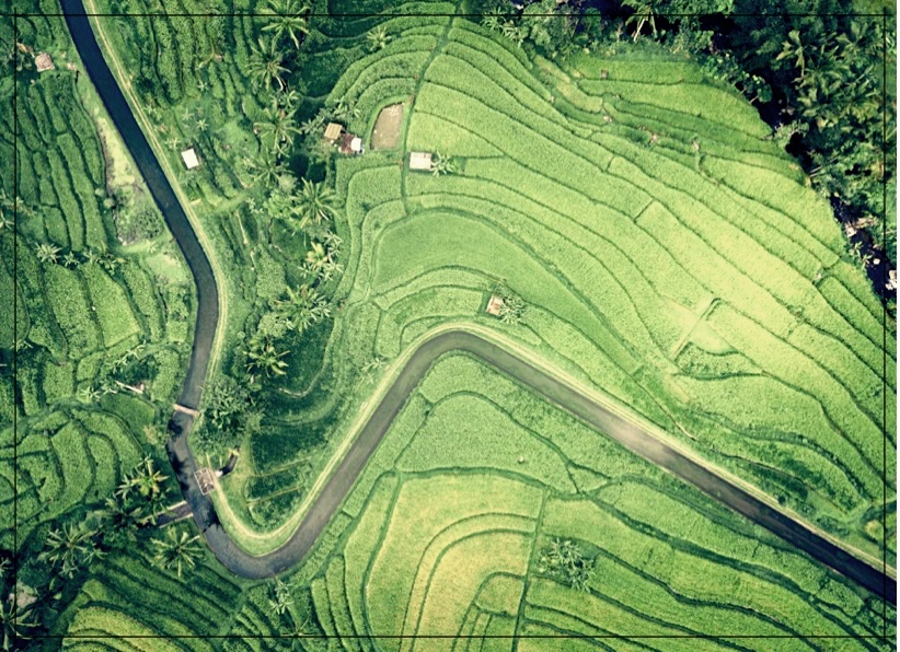 쌀눈의 효능과 먹는 법.