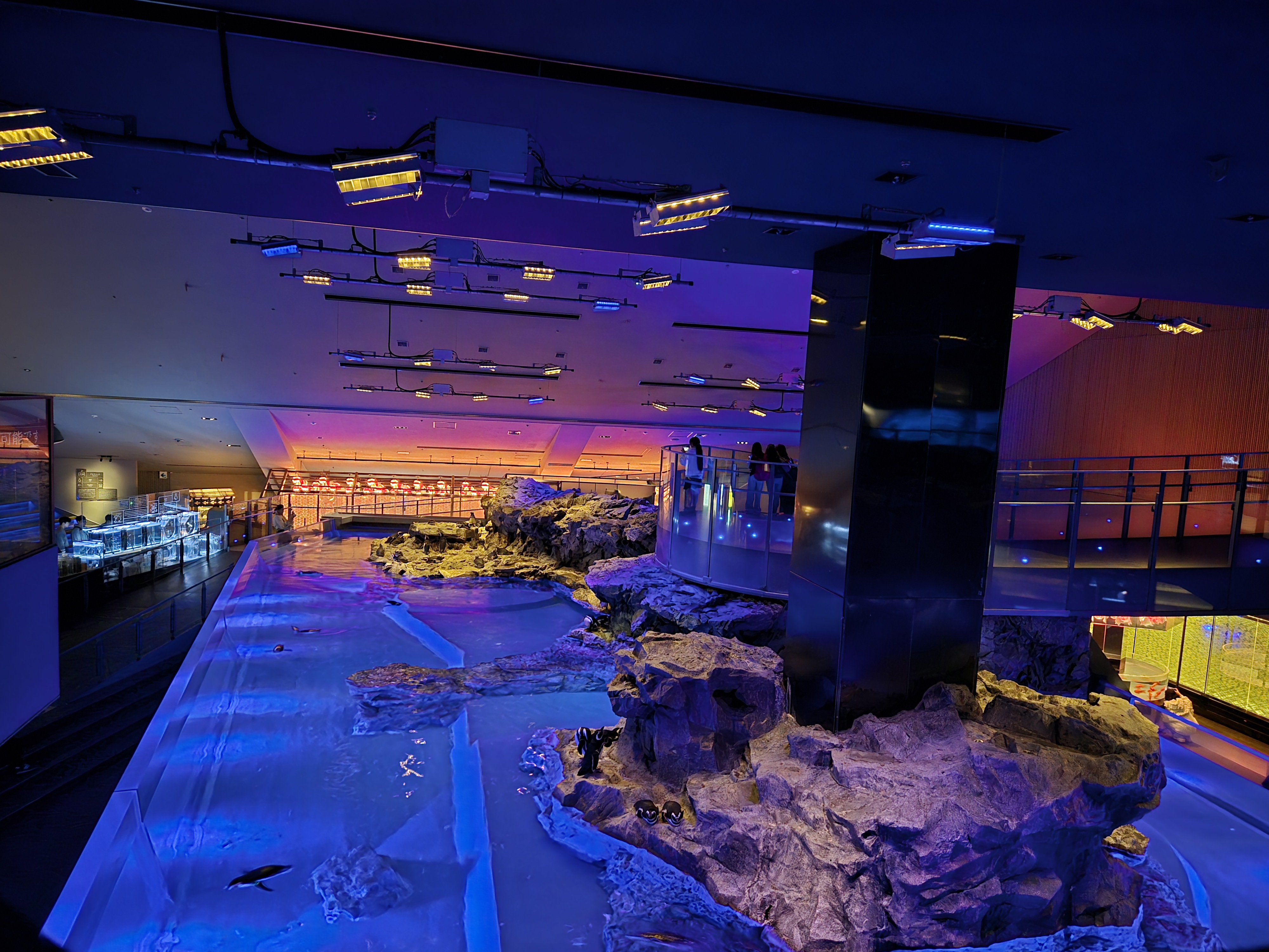 도쿄 스미다수족관