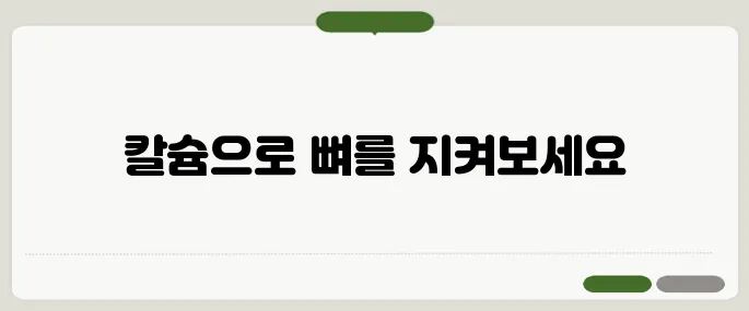 칼슘 많은 음식 뼈 건강을 위한 필수 영양소