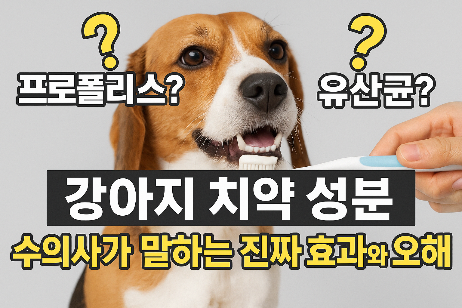 강아지 치약 성분