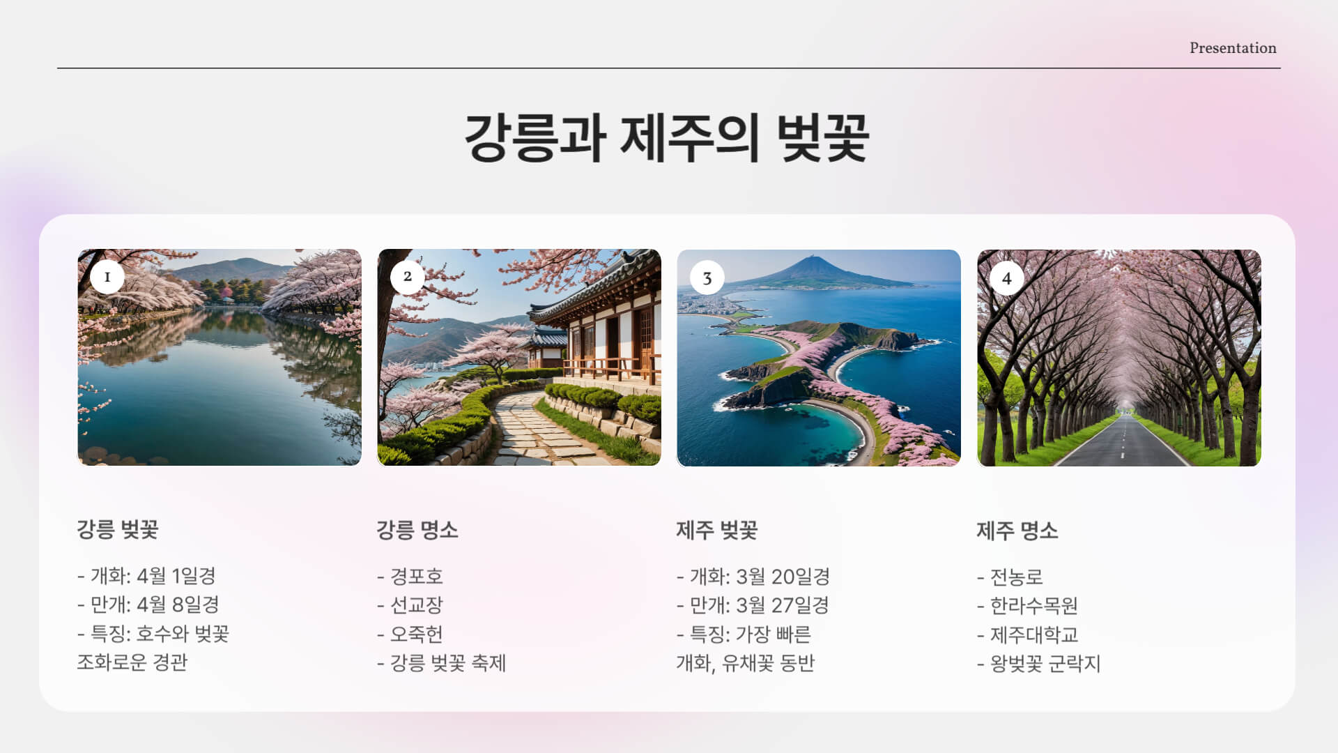 벚꽃 개화 및 만개