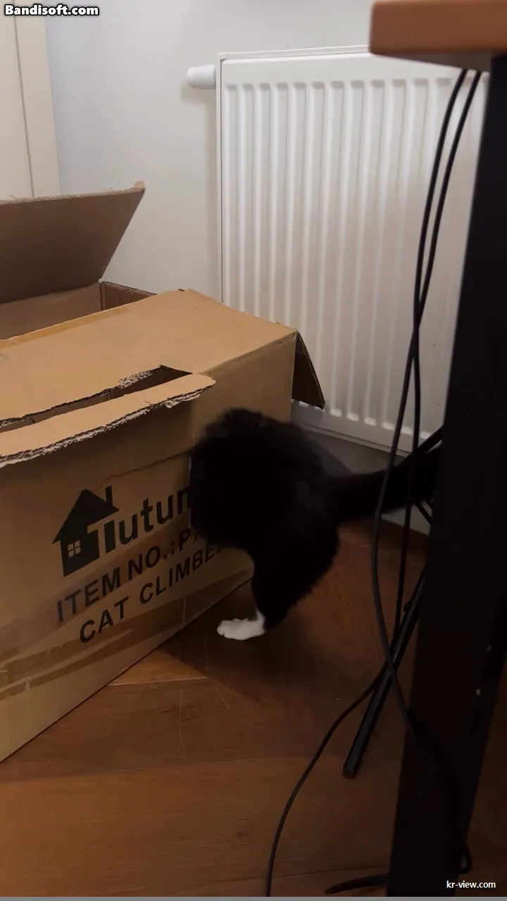 img.webp?credential=yqXZFxpELC7KVnFOS48ylbz2pIh7yKj8&expires=1767193199&allow_ip=&allow_referer=&signature=sX53rVGqjIxH9GQJxmFchlyJ7sY%3D