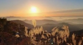 덕유산 곤도라 예약 요금 운행시간
