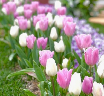 봄 여행지 추천