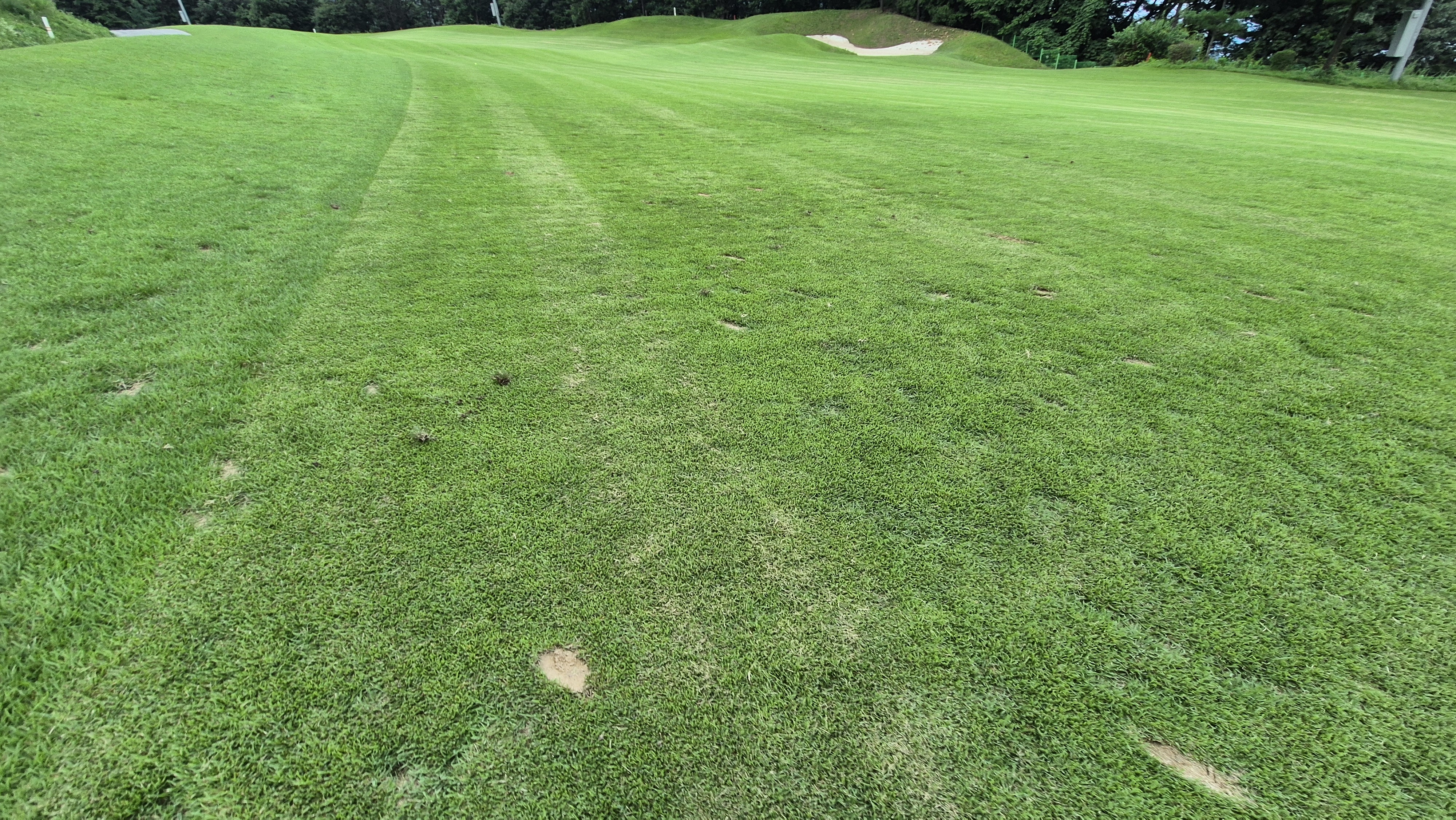 참밸리cc 라운드 후기