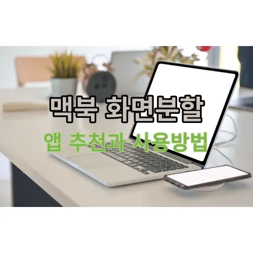 썸네일-사진