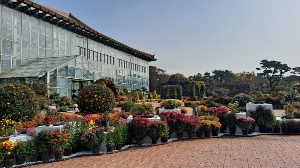 화성_우리꽃식물원_국화전시회