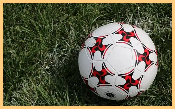 축구 결과 한국 팔레스타인 (하이라이트 동영상)