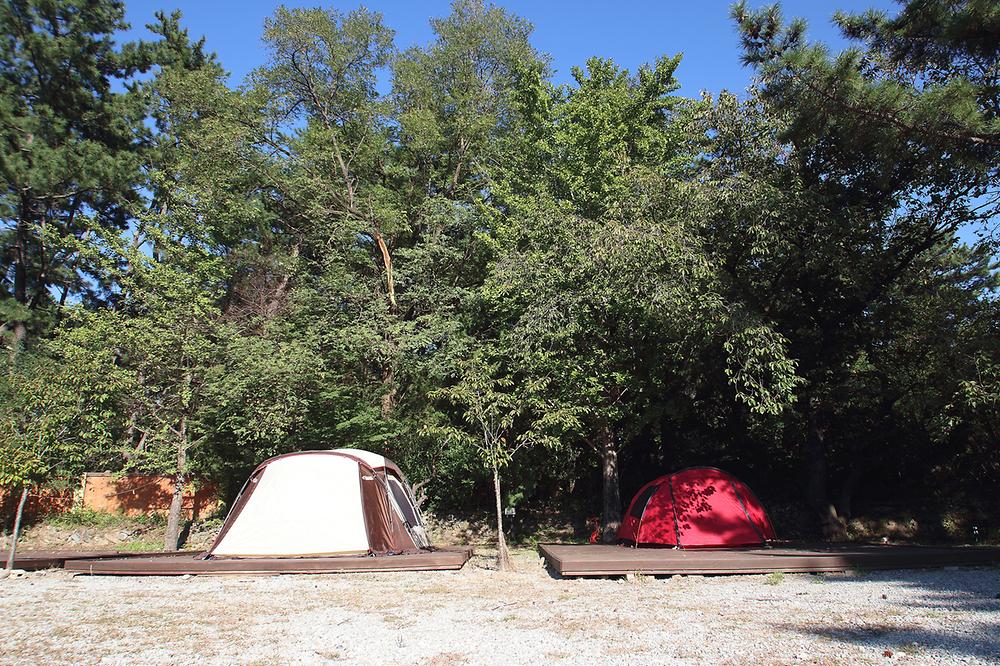 루트7 포항오토캠핑장 소개