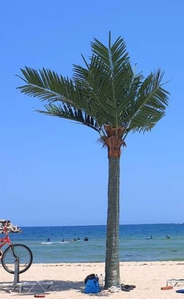 강원도 고성 가볼만한곳 베스트 10