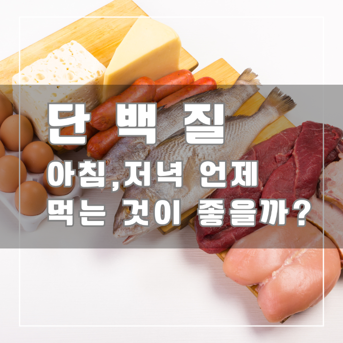 단백질 언제먹는 것이 좋을까?