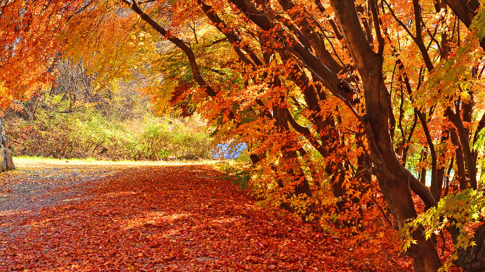 남한산성 둘레길