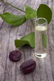 호호바씨와 오일