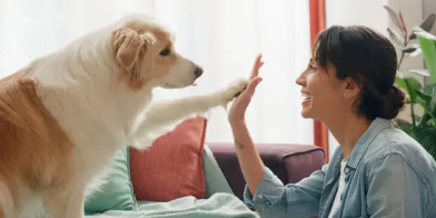 반려동물과 건강생활