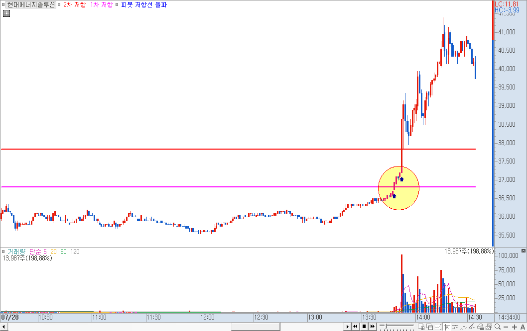 피봇 화살표 적용 차트