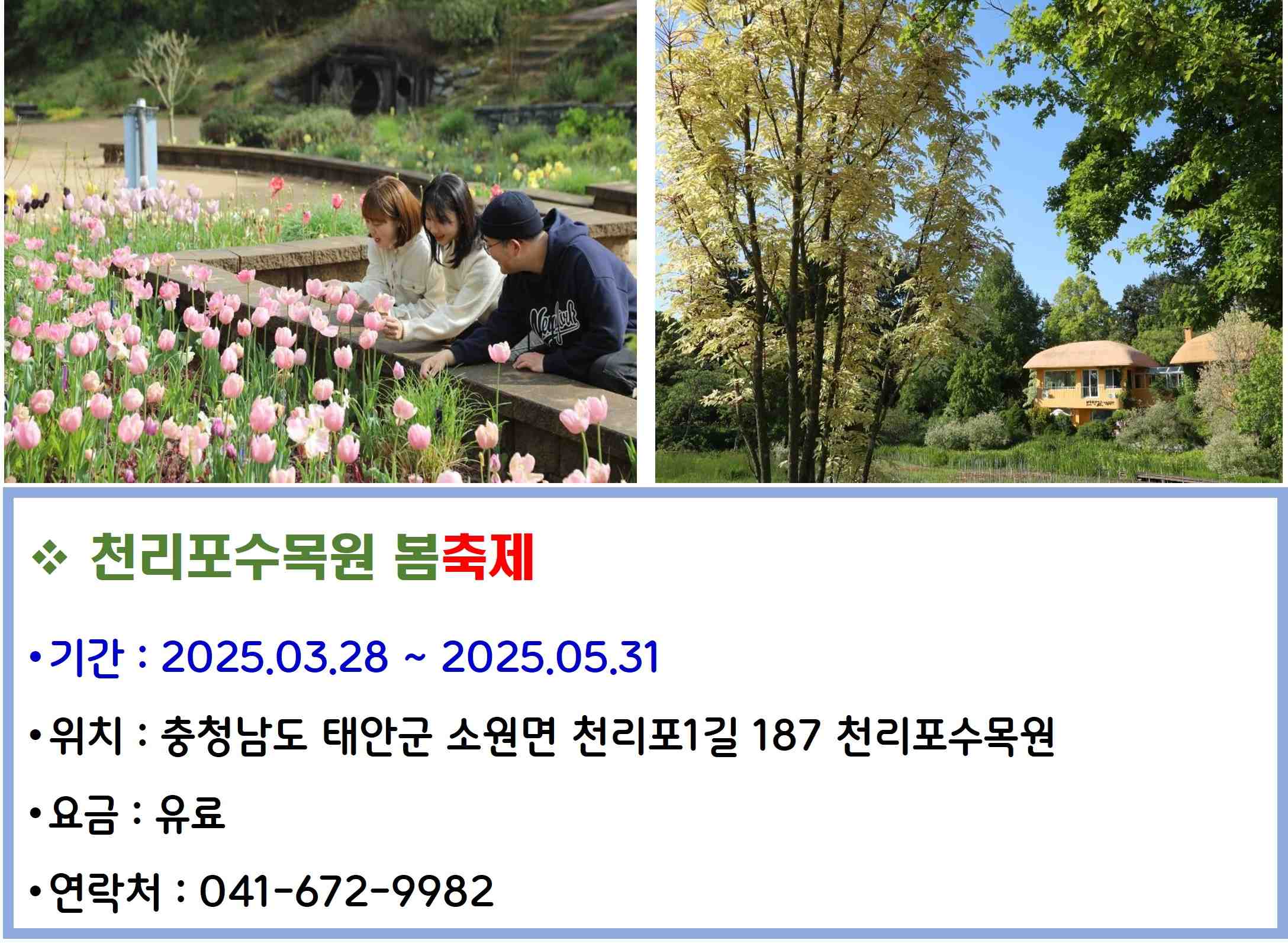 천리포수목원 봄축제
